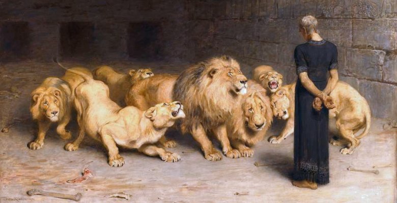 lions den