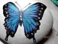 Blue Butterfly Rock