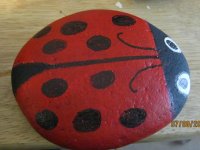 Ladybug Rock